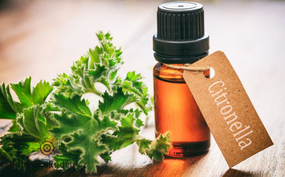 co je to citronella